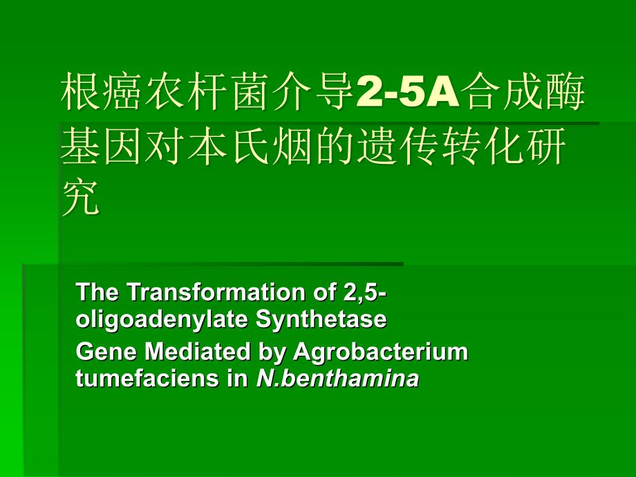 2885.B根癌农杆菌介导25A合成酶基因对本氏烟的遗传转化研究_第1页