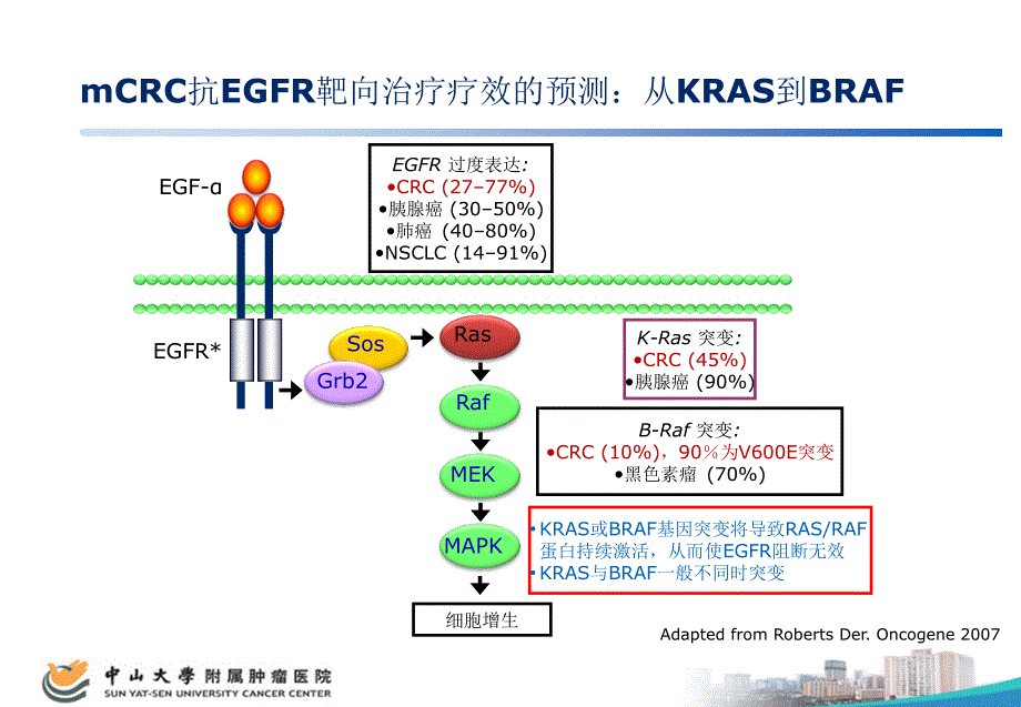 陈功靶向药物药物选择的盘点课件_第4页