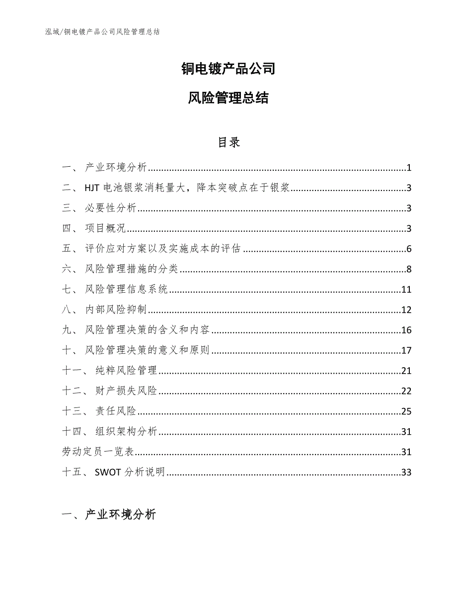 铜电镀产品公司风险管理总结_范文_第1页