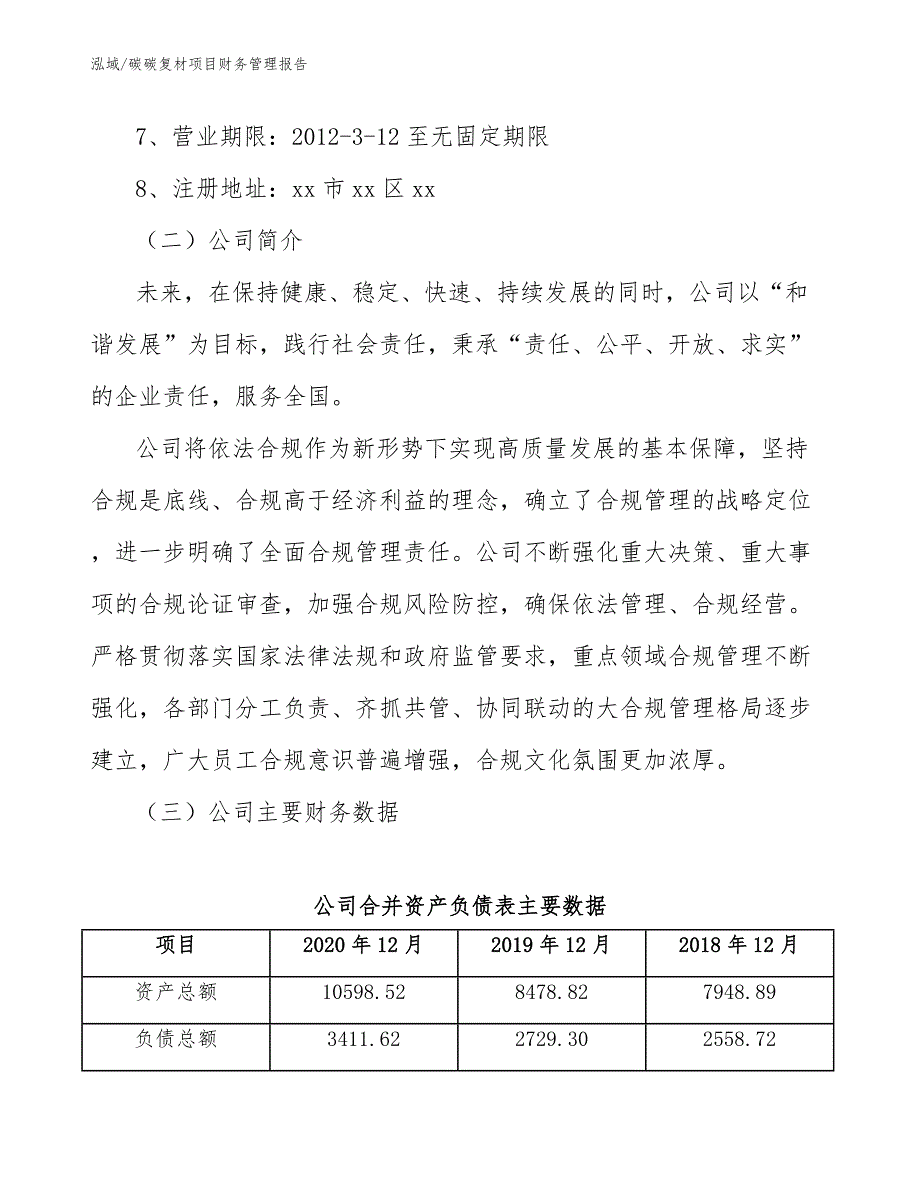 碳碳复材项目财务管理报告_参考_第3页