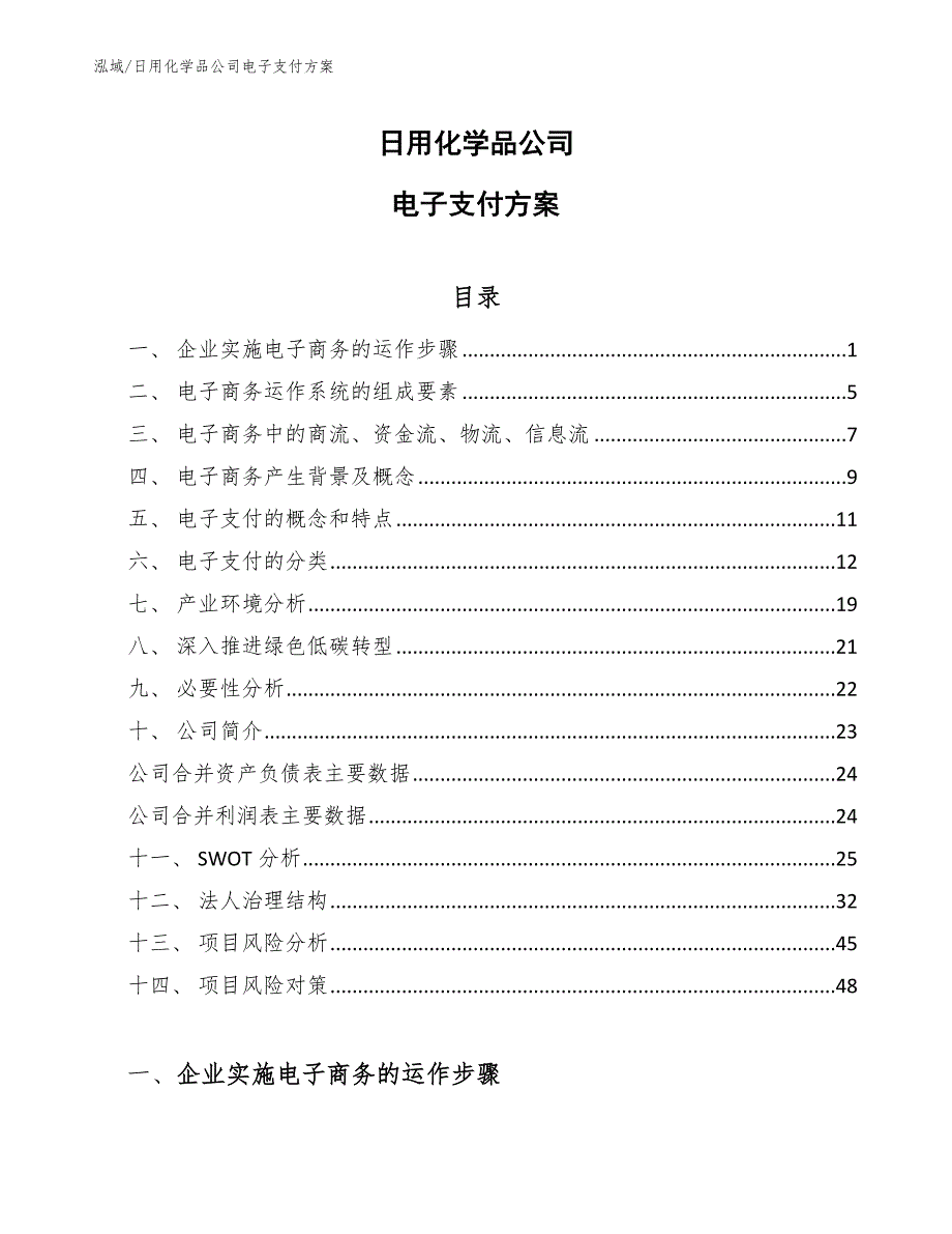 日用化学品公司电子支付方案_参考_第1页