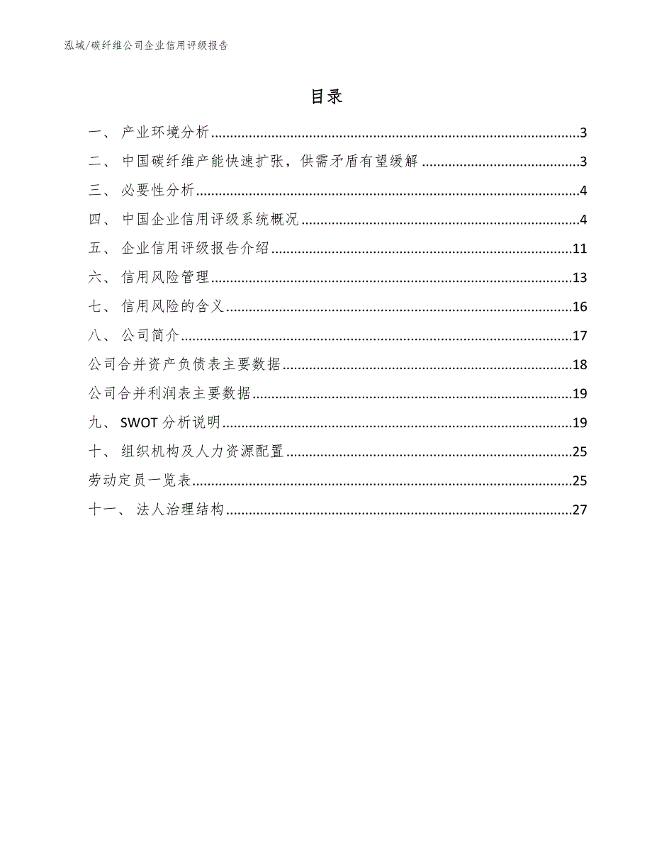 碳纤维公司企业信用评级报告【范文】_第2页