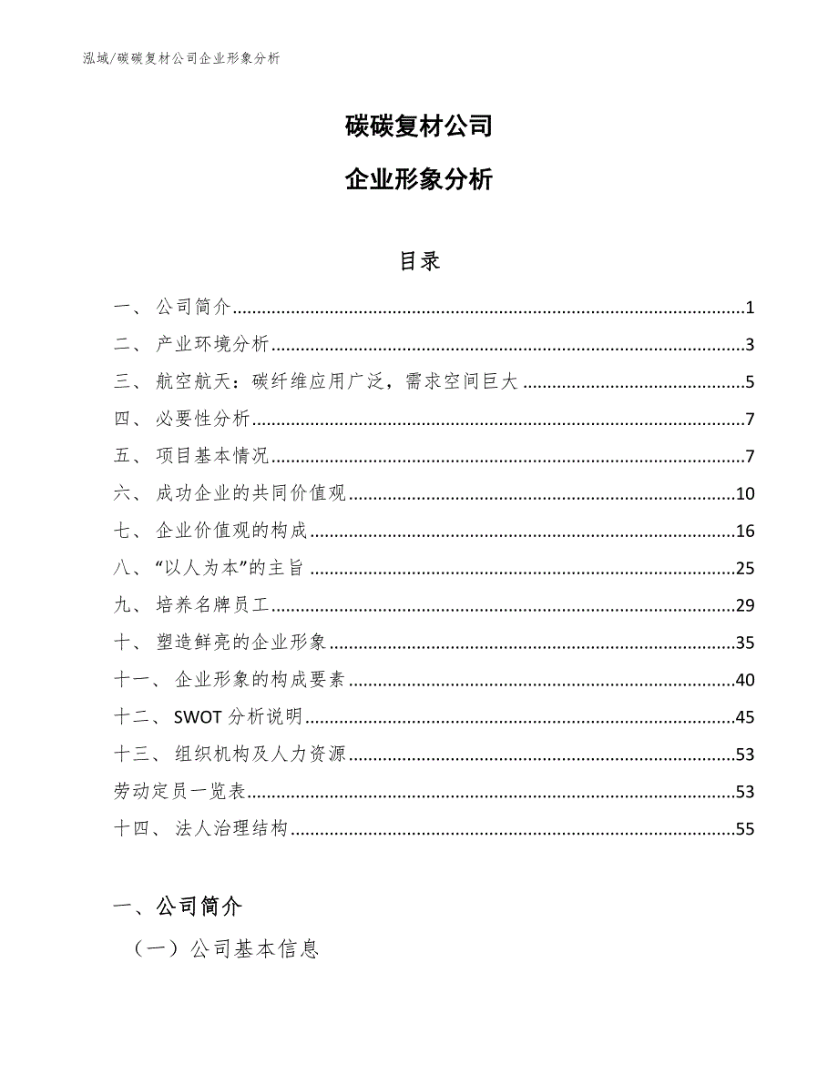 碳碳复材公司企业形象分析_第1页