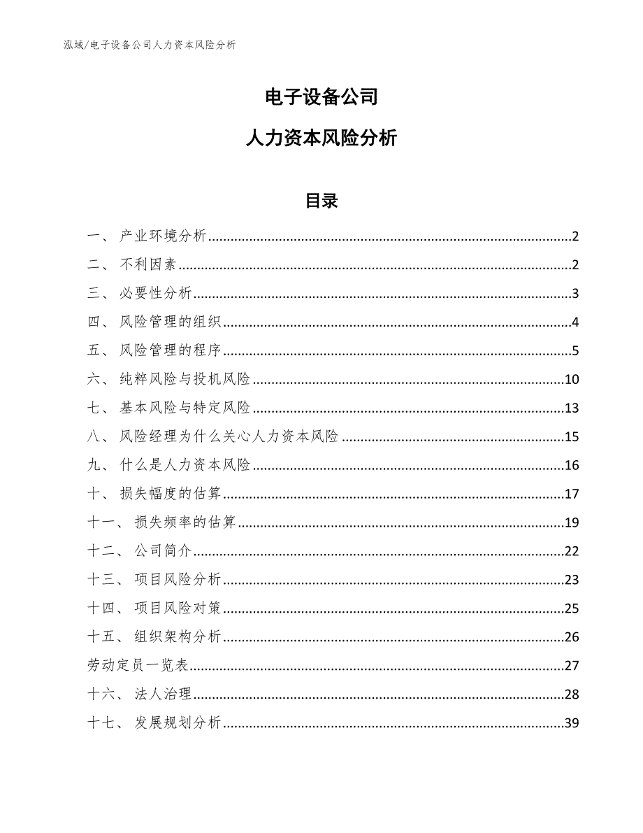 电子设备公司人力资本风险分析（参考）_第1页