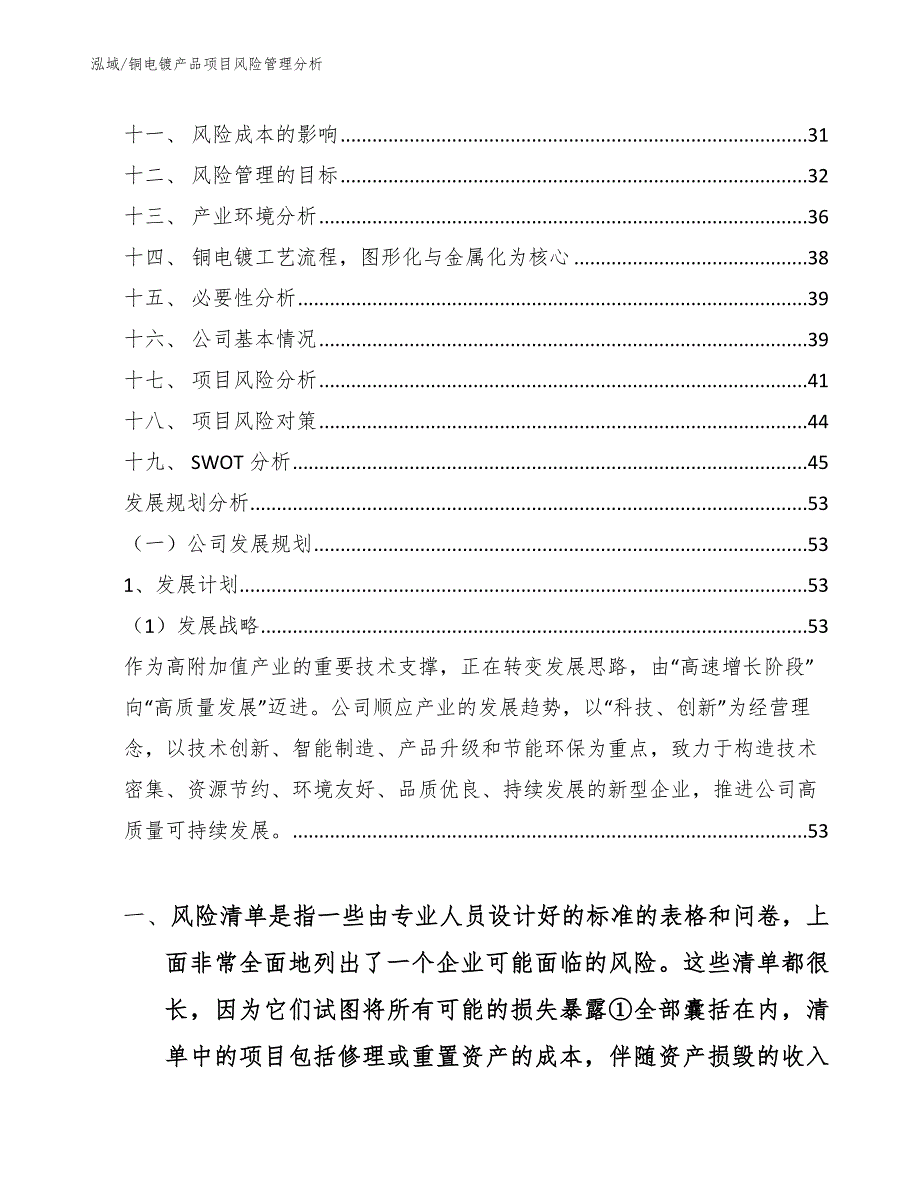 铜电镀产品项目风险管理分析【范文】_第2页