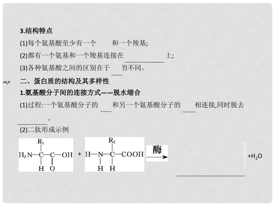 四川省成都市高考生物第二章课件2 新人教版必修1_第4页