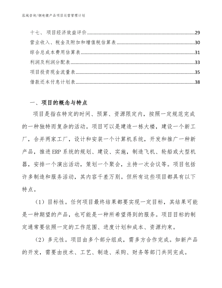 铜电镀产品项目运营管理计划_第2页