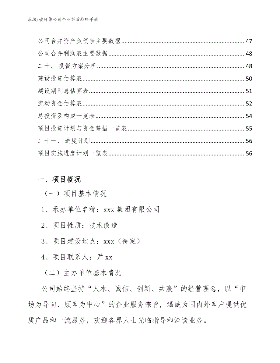 碳纤维公司企业经营战略手册【参考】_第2页