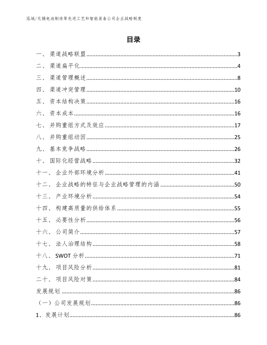 无镉电池制造等先进工艺和智能装备公司企业战略制度_范文_第2页