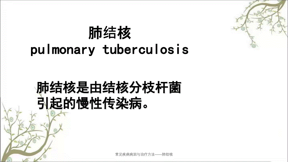 常见疾病病因与治疗方法肺结核课件_第1页