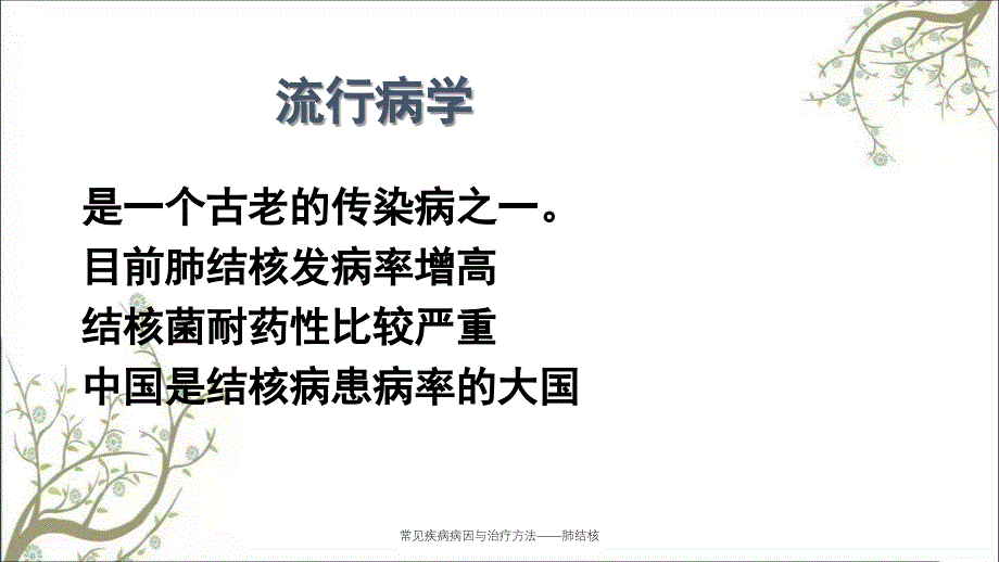 常见疾病病因与治疗方法肺结核课件_第2页