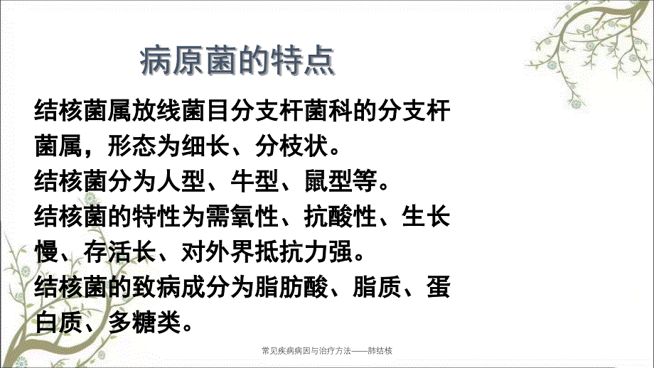 常见疾病病因与治疗方法肺结核课件_第3页