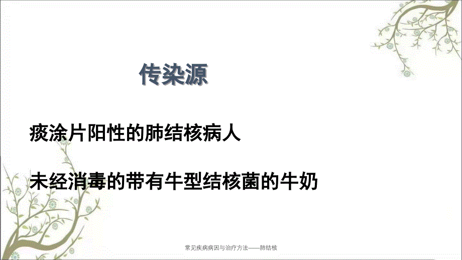 常见疾病病因与治疗方法肺结核课件_第4页