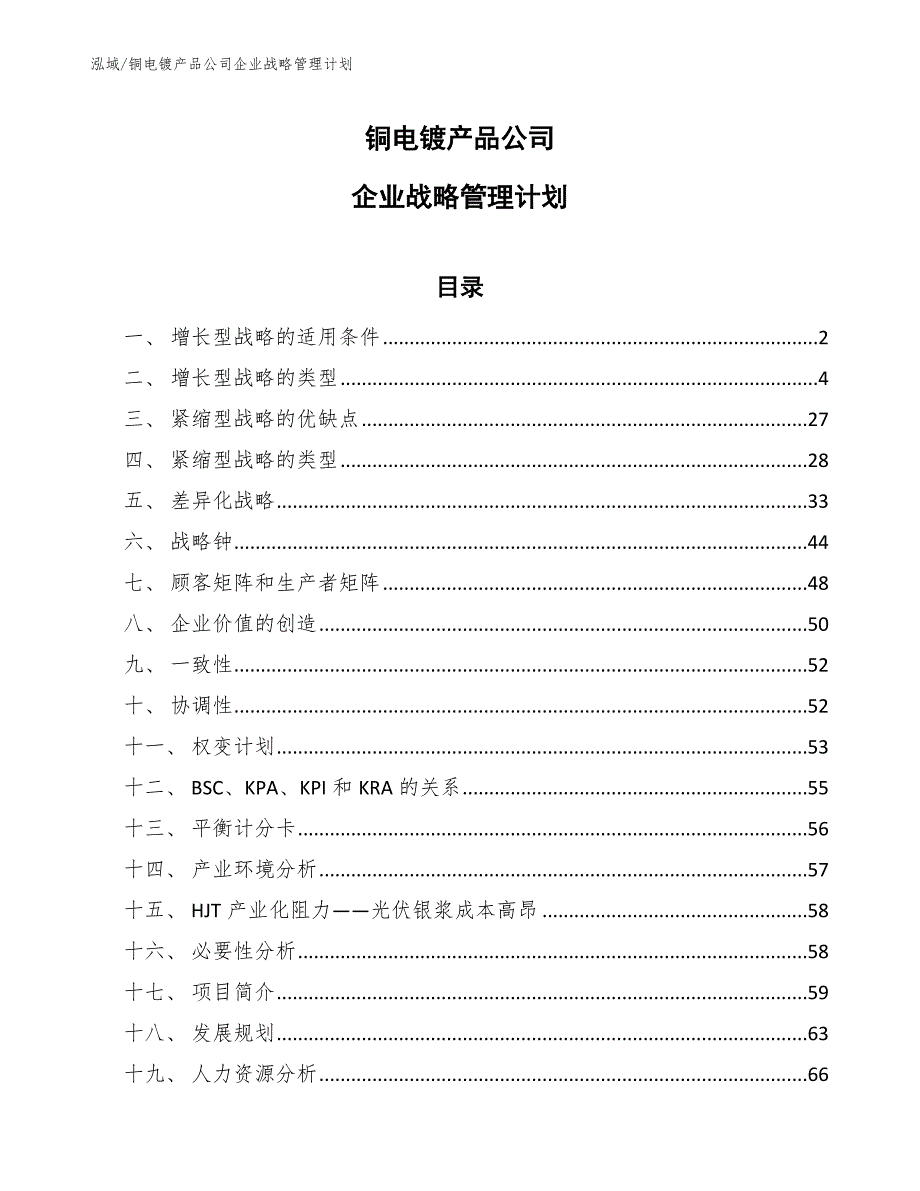 铜电镀产品公司企业战略管理计划_参考_第1页