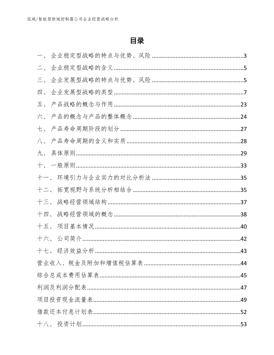 智能驾驶域控制器公司企业经营战略分析_第2页