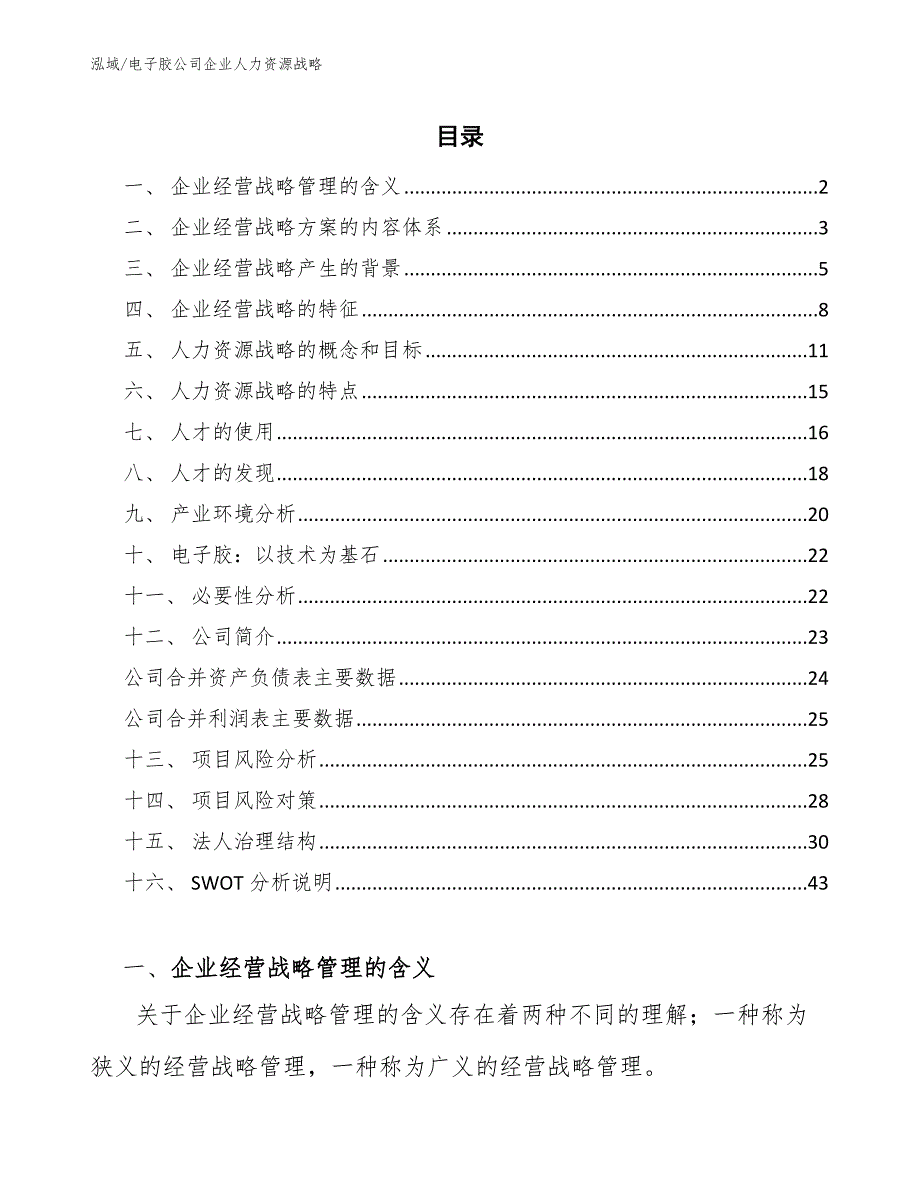 电子胶公司企业人力资源战略_参考_第2页