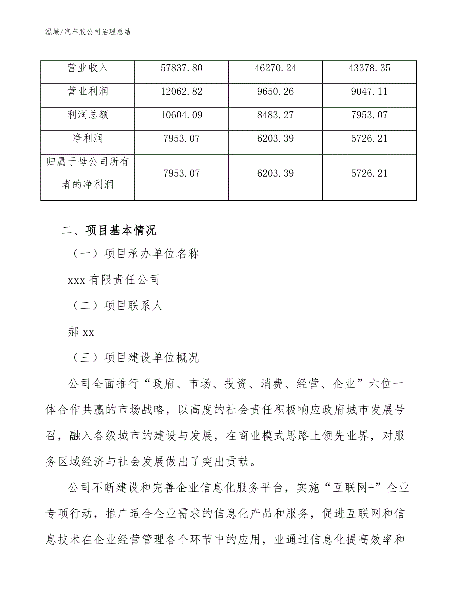 汽车胶公司治理总结（参考）_第4页