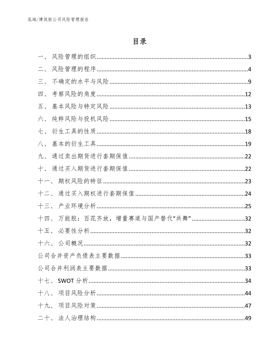 建筑胶公司风险管理报告_范文_第2页