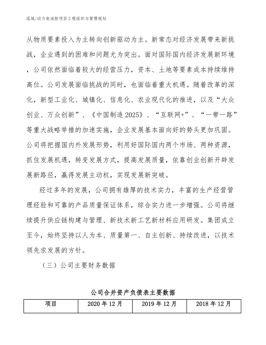 动力电池胶项目工程组织与管理规划（范文）_第4页