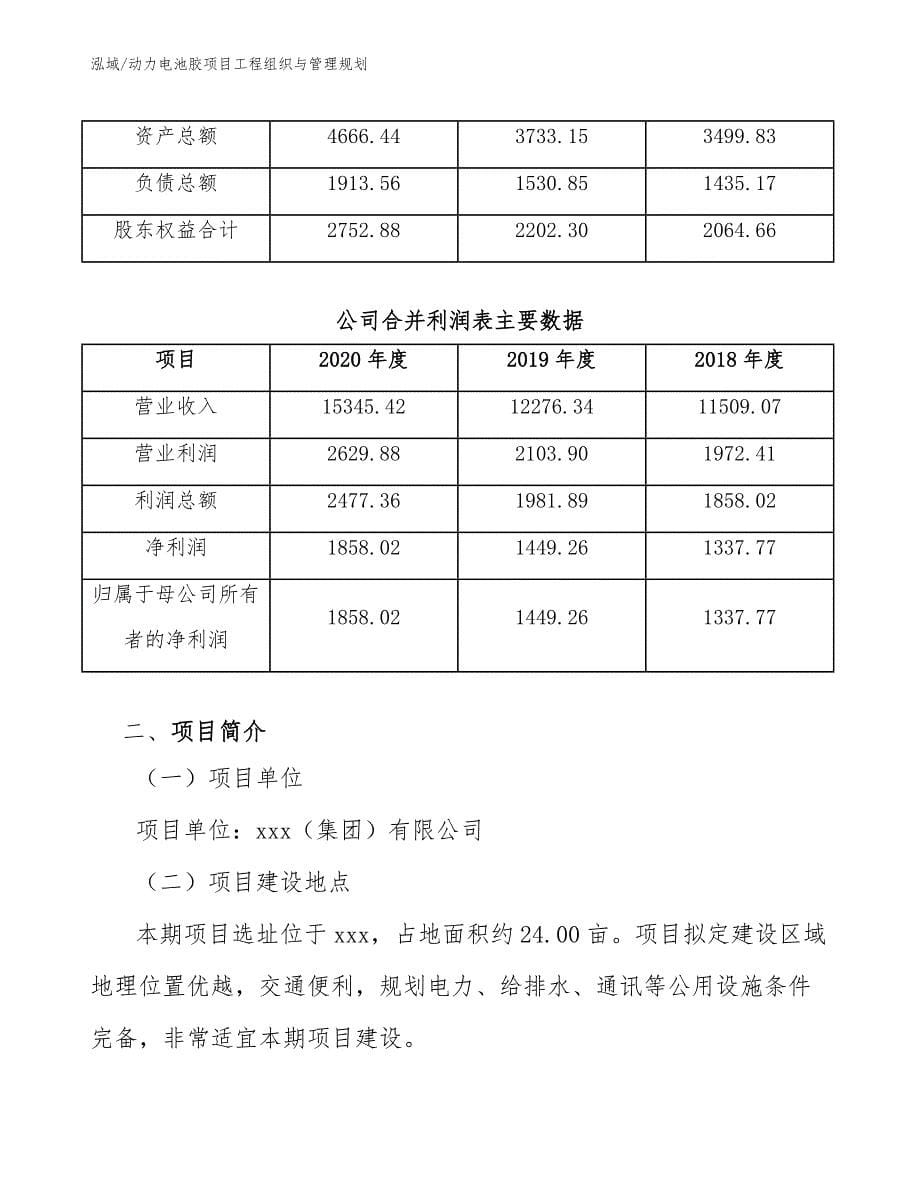 动力电池胶项目工程组织与管理规划（范文）_第5页