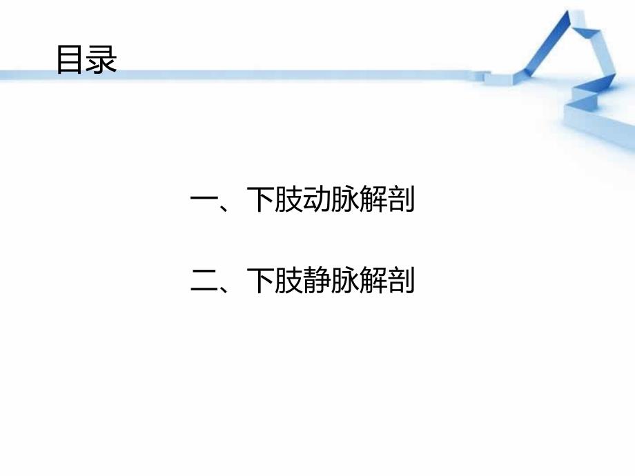 （优质课件）下肢血管解剖,童_第2页