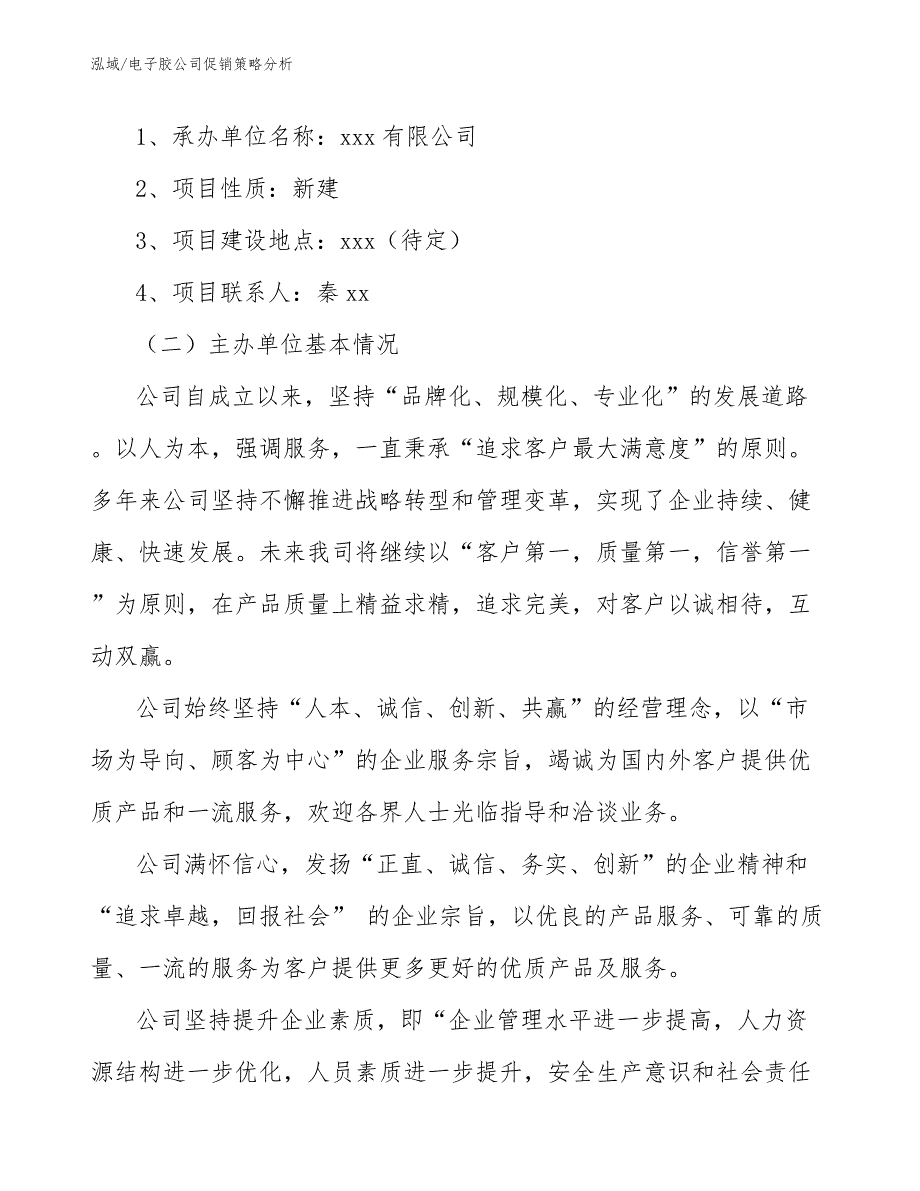 电子胶公司促销策略分析【范文】_第3页