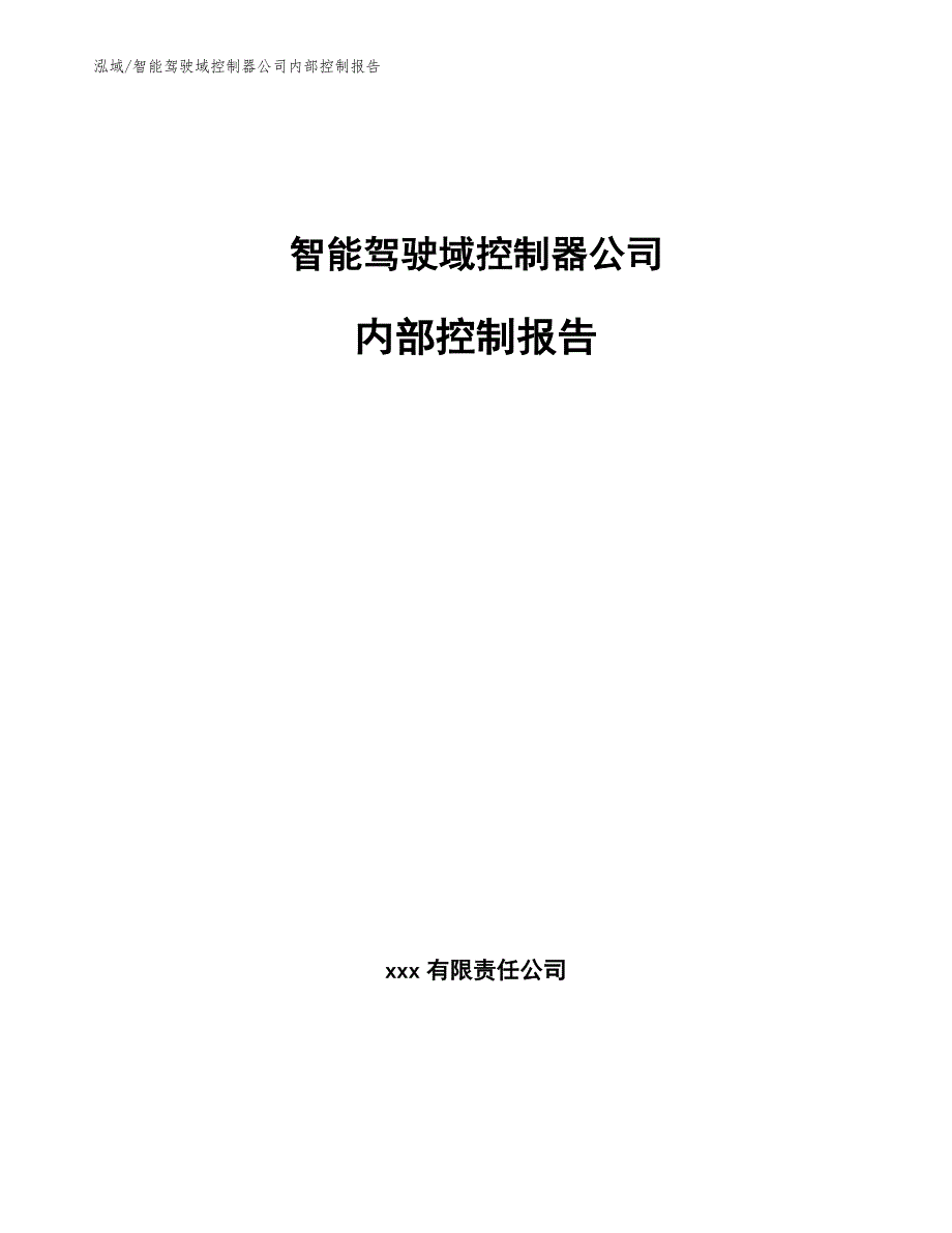 智能驾驶域控制器公司内部控制报告（参考）_第1页