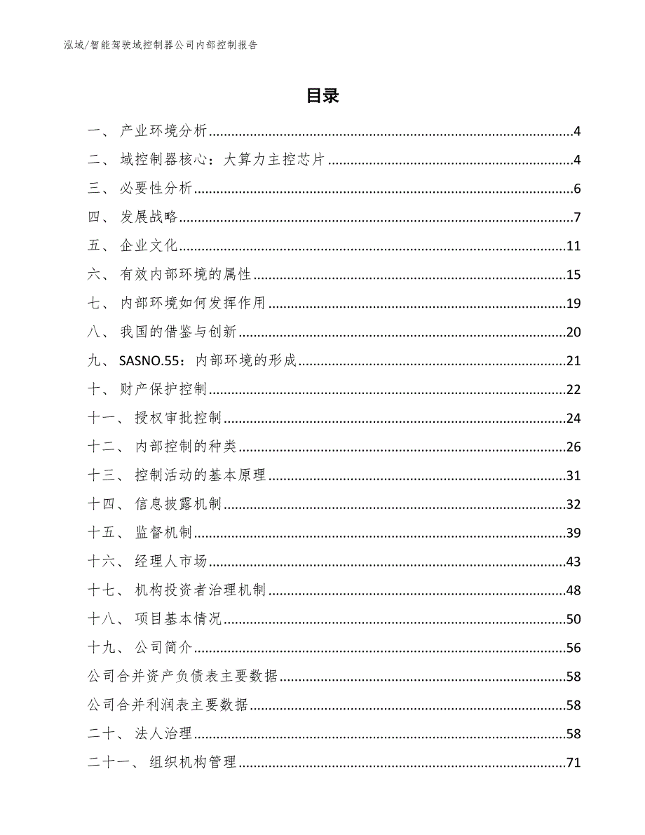 智能驾驶域控制器公司内部控制报告（参考）_第2页