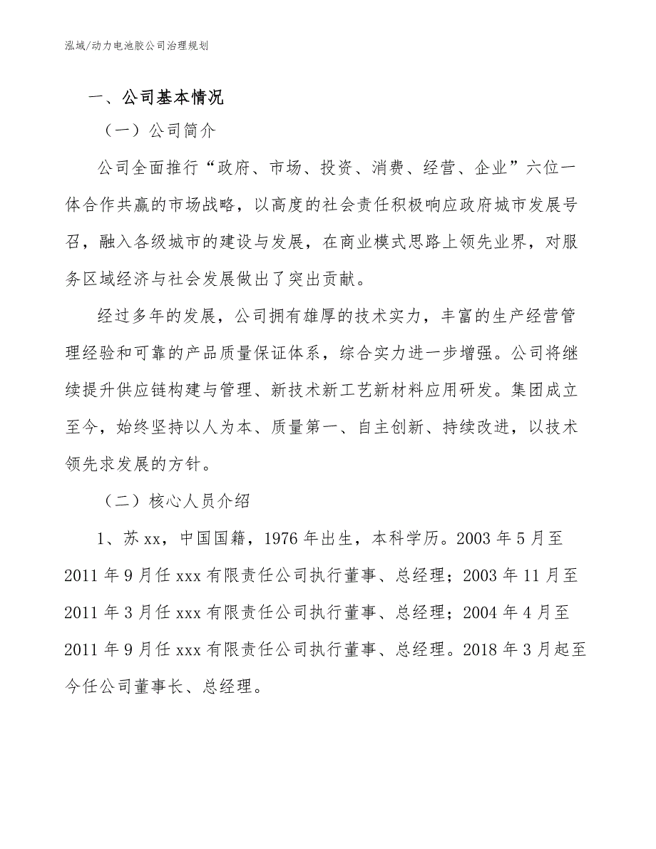 动力电池胶公司治理规划（范文）_第4页