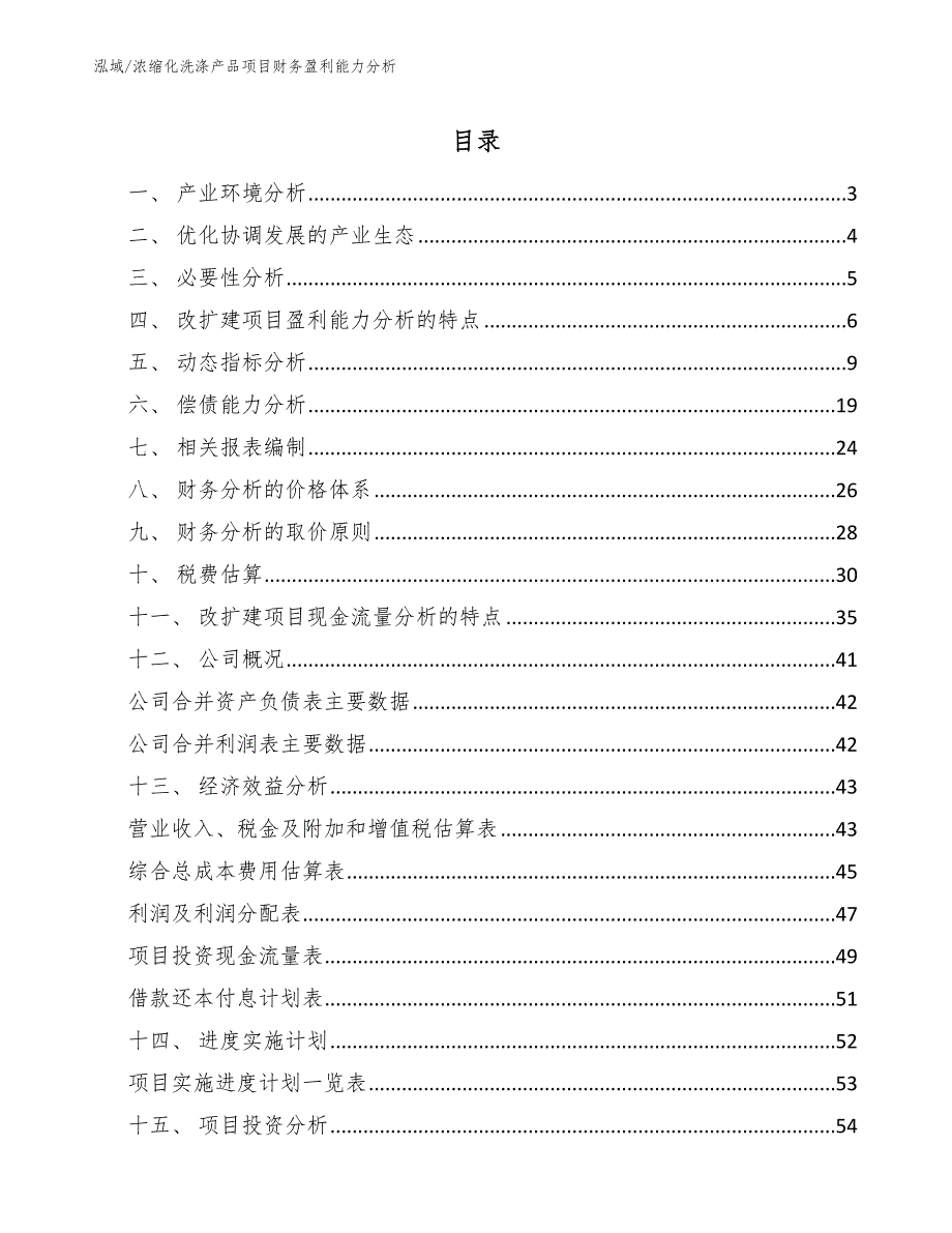 浓缩化洗涤产品项目财务盈利能力分析_第2页