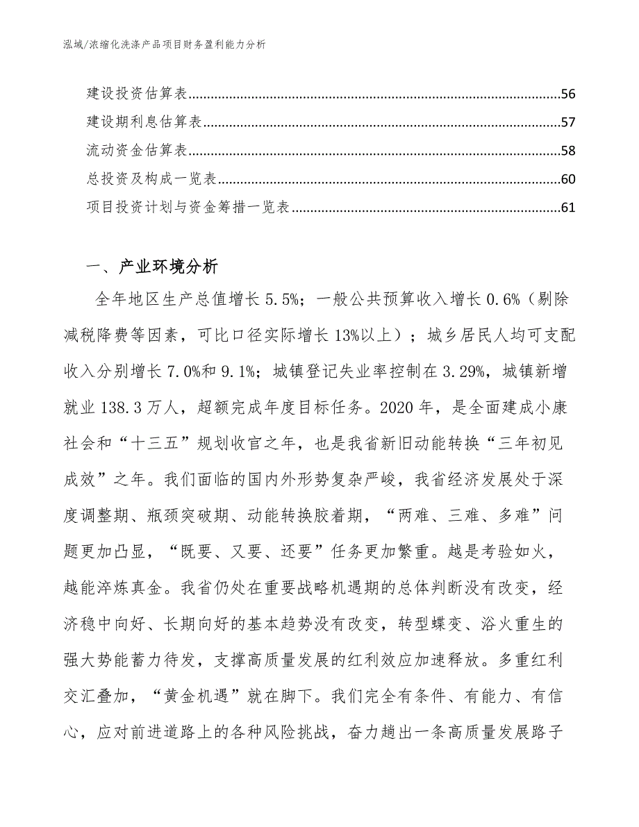 浓缩化洗涤产品项目财务盈利能力分析_第3页