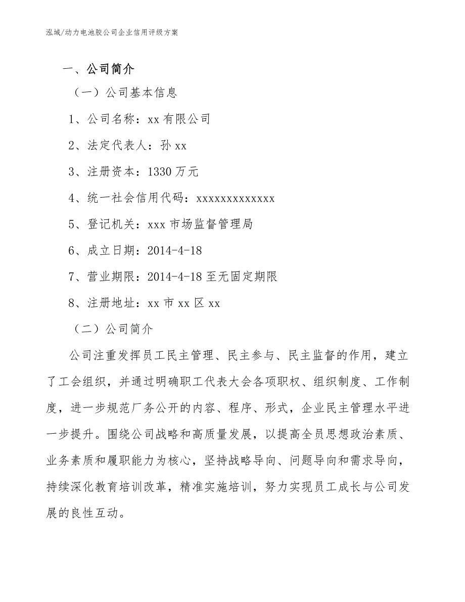 动力电池胶公司企业信用评级方案【参考】_第2页