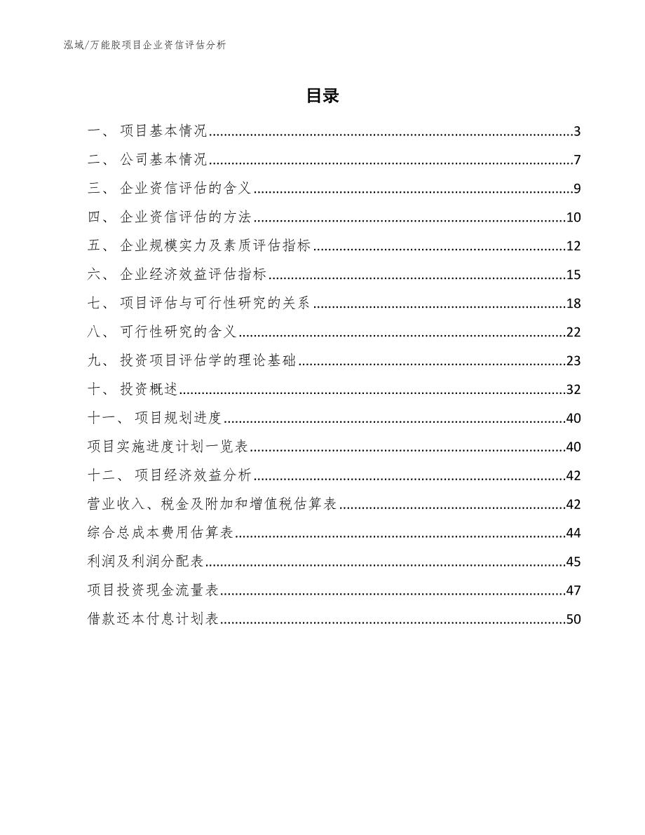 万能胶项目企业资信评估方案_第2页