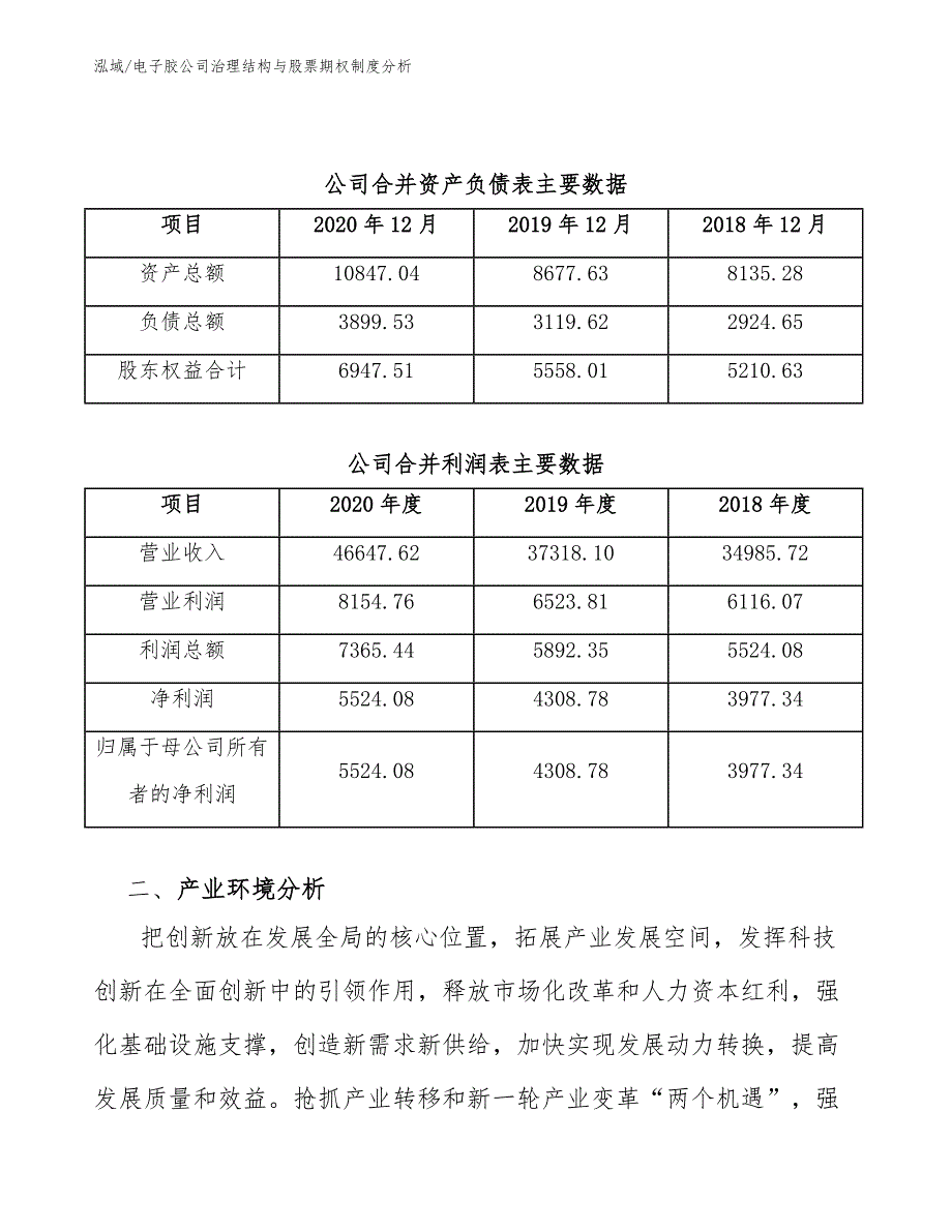 电子胶公司治理结构与股票期权制度分析（范文）_第3页