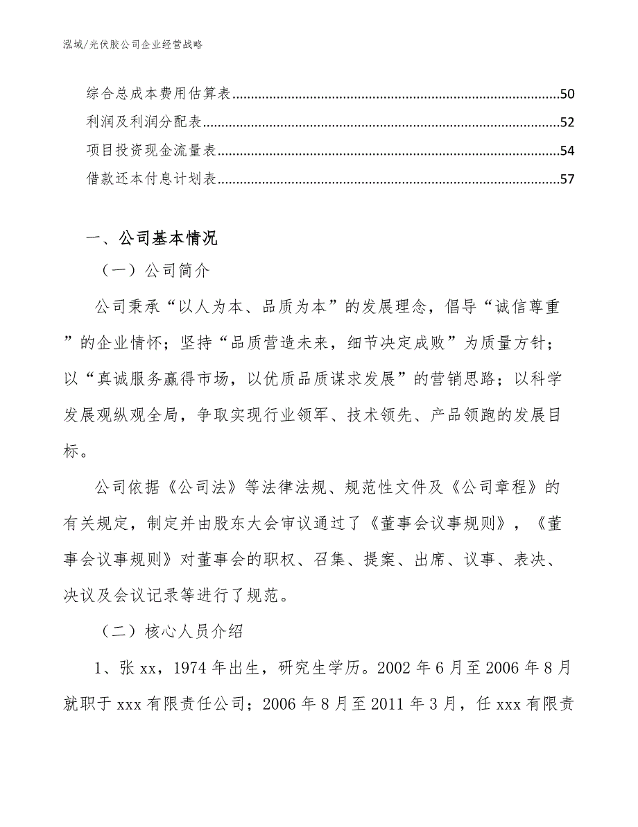 光伏胶公司企业经营战略_参考_第3页