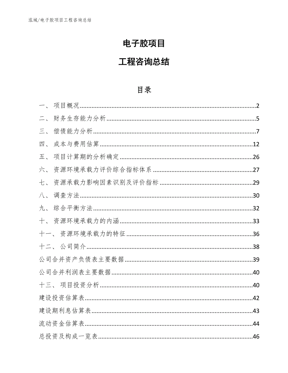 电子胶项目工程咨询总结（范文）_第1页