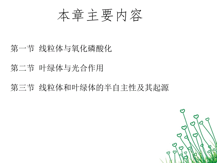 细胞生物学线粒体和叶绿体[73页]_第2页