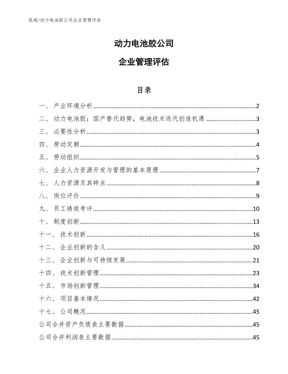 动力电池胶公司企业管理评估【范文】_第1页