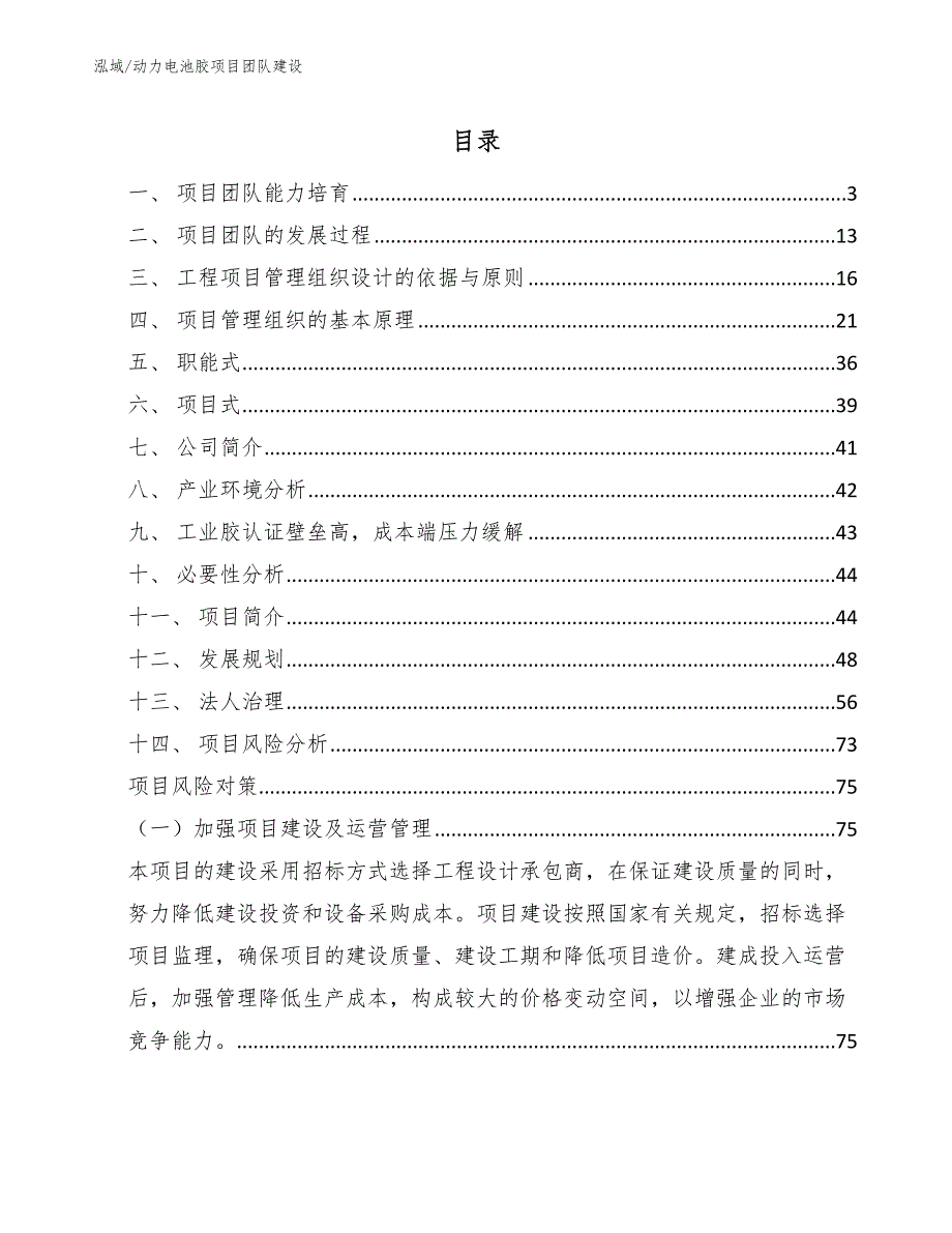 动力电池胶项目团队建设_范文_第2页