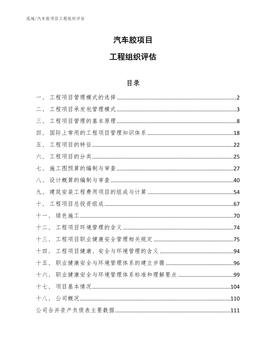 汽车胶项目工程组织评估（参考）_第1页