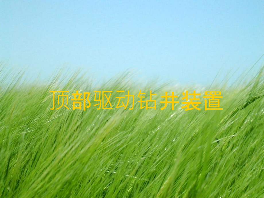 顶部驱动钻井装置课件_第1页