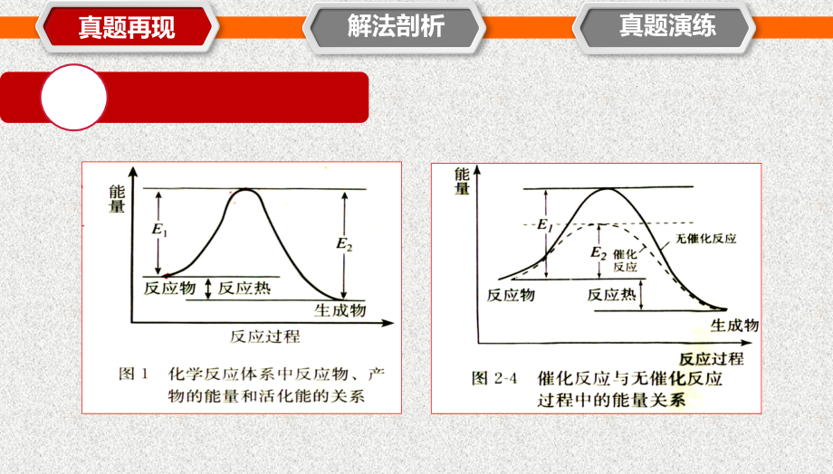 高三复习：催化剂及其应用课件_第3页