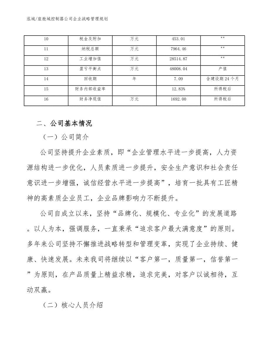 座舱域控制器公司企业战略管理规划_范文_第5页