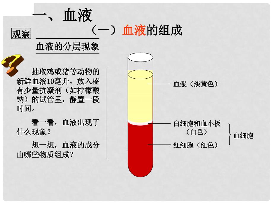 中考生物 人体内物质的运输复习课件.ppt_第3页