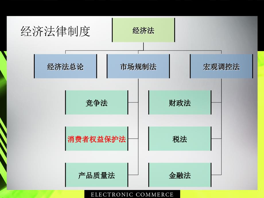 选修经典法律案例评析经济法消费者权益保护法_第4页