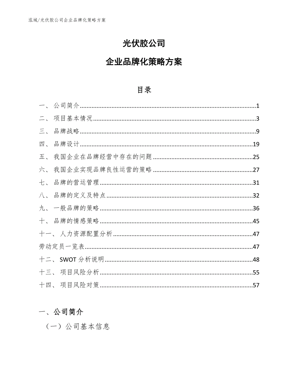 光伏胶公司企业品牌化策略方案_第1页