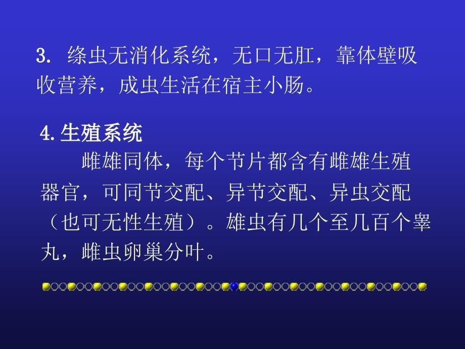 《人体寄生虫学 》教学课件：03_2绦概_第5页