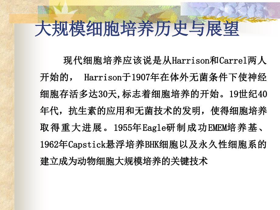 动物细胞大规模培养技术与疫苗生产工艺优化_第3页