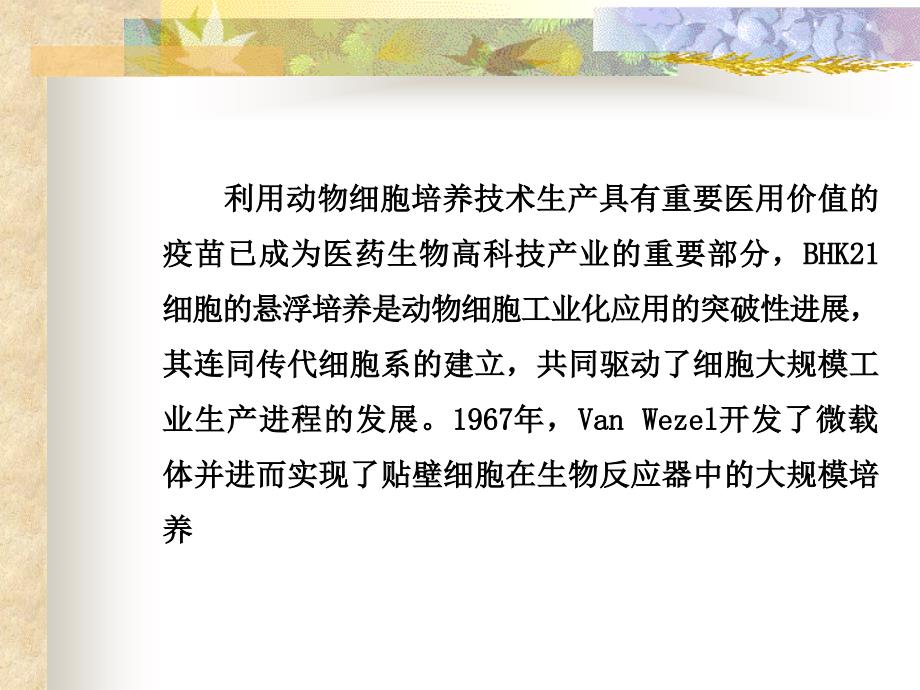 动物细胞大规模培养技术与疫苗生产工艺优化_第4页