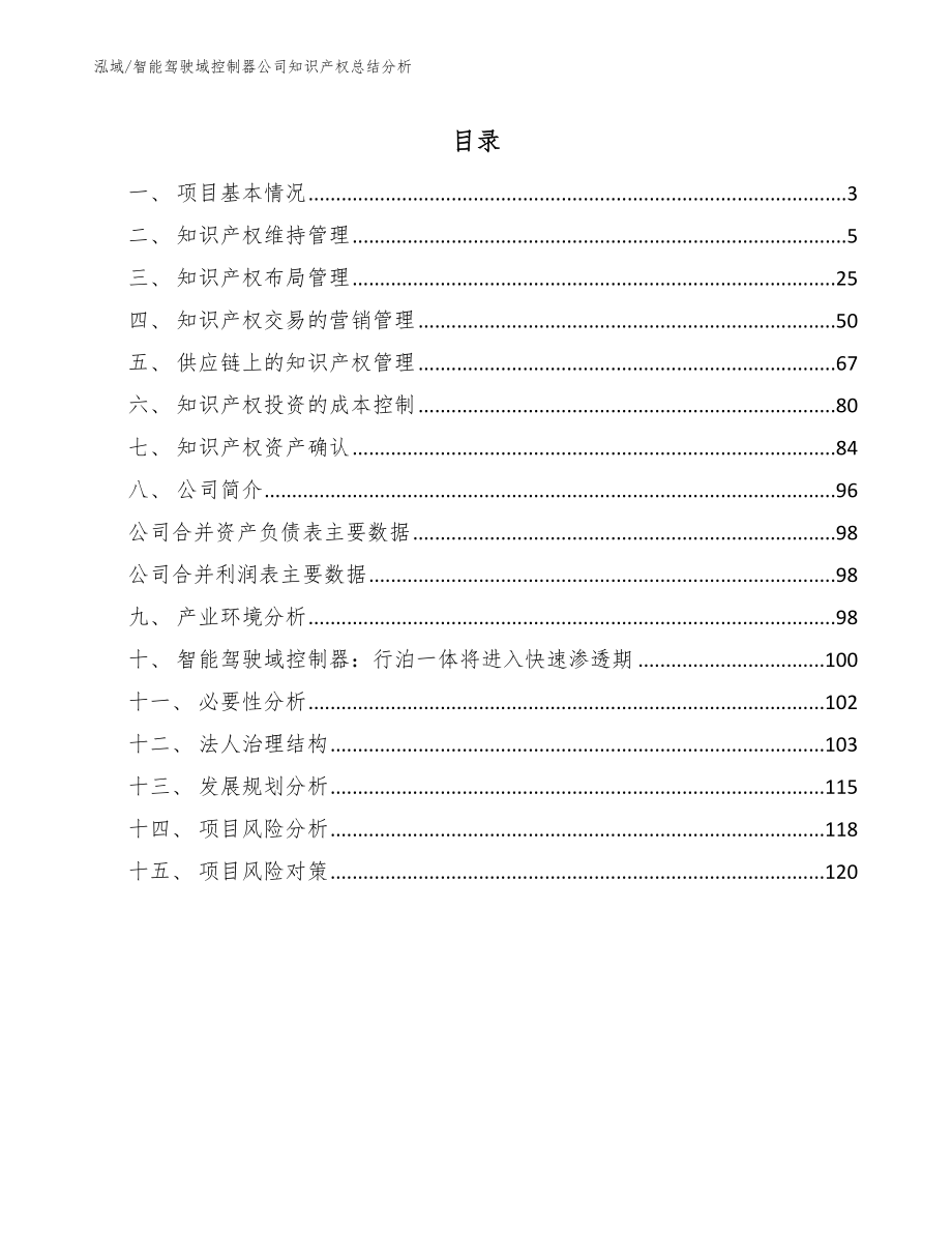 智能驾驶域控制器公司知识产权总结分析_范文_第2页